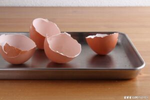 卵殻の作用とおすすめしない理由は?