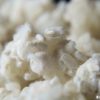 生麹と乾燥麹の違いは？ レシピを置き換える場合の換算方法