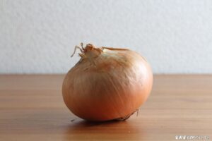 玉ねぎの役割は?