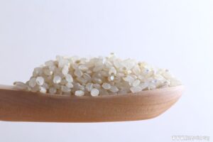 米ぬかに含まれている胚芽とは?